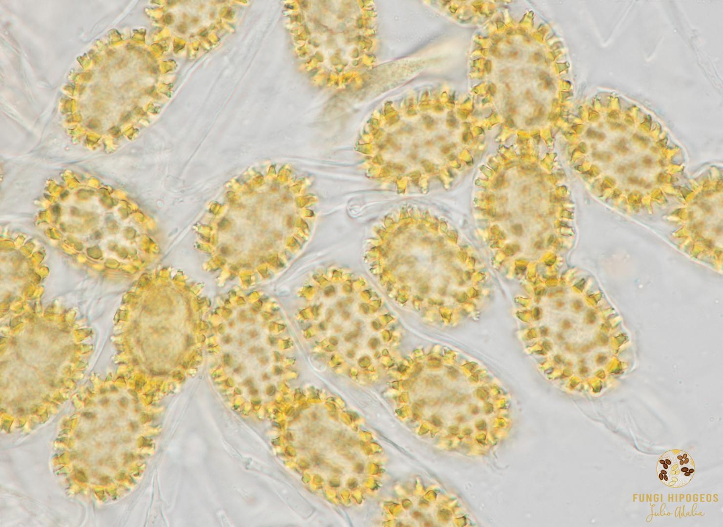 Imagen de portada 415