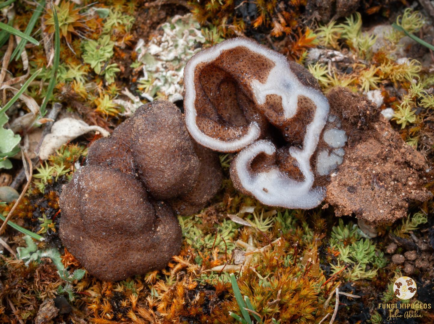 Imagen de portada 420