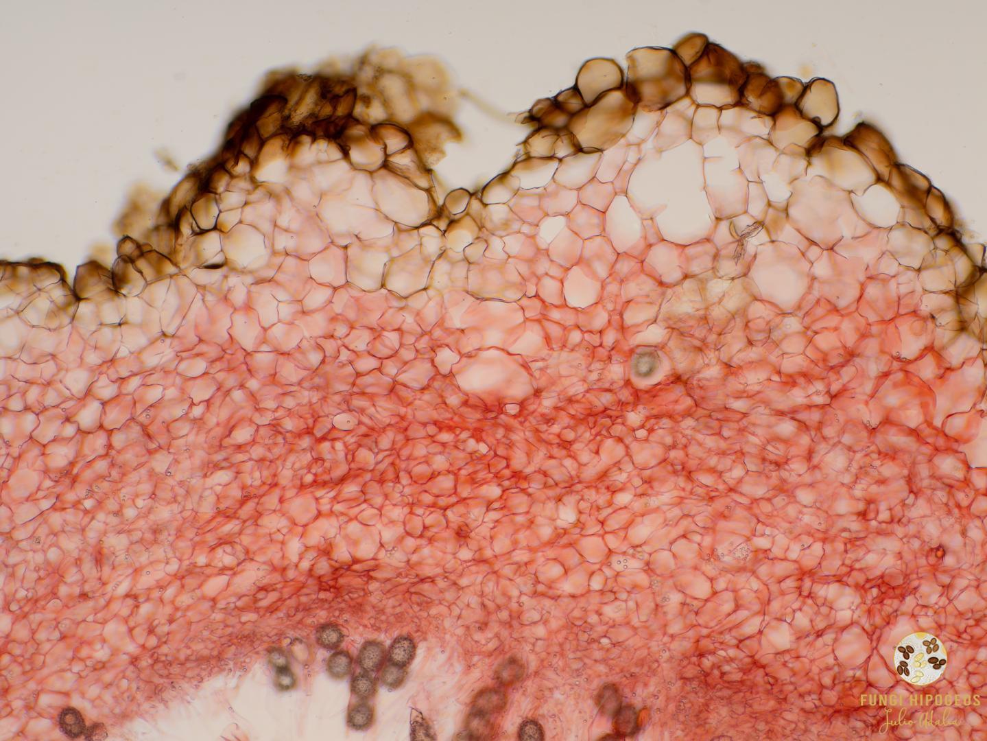 Imagen de portada 422