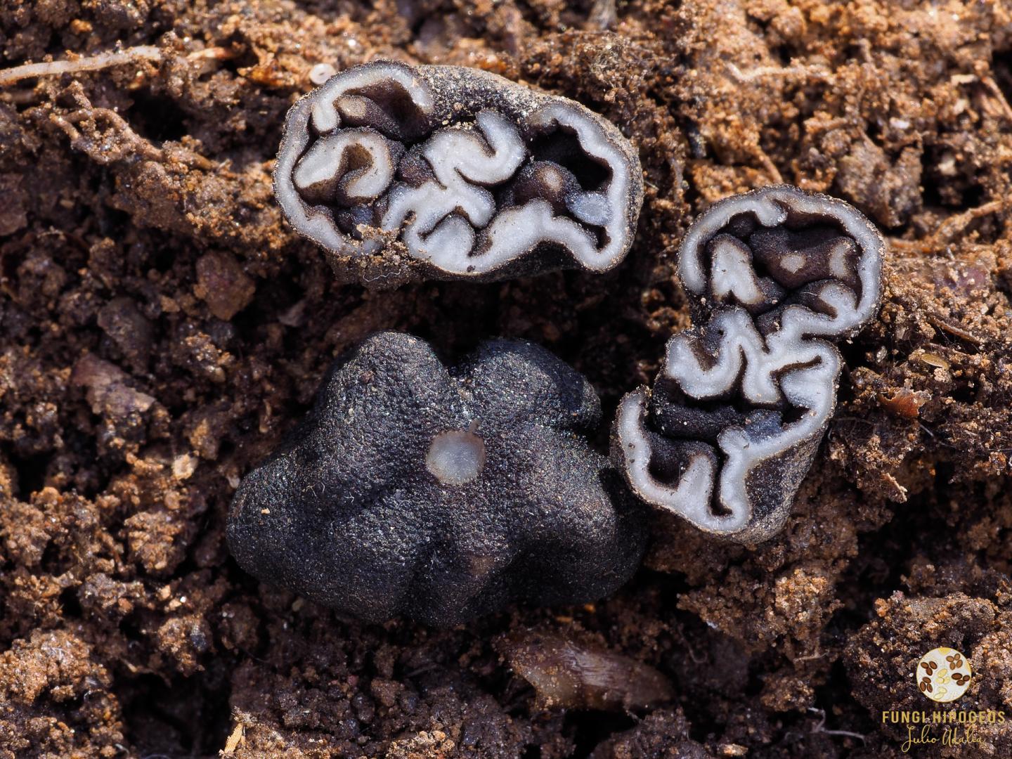 Imagen de portada 427