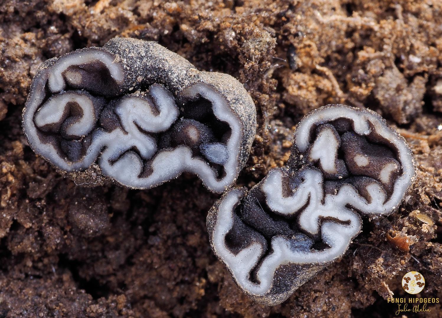 Imagen de portada 428