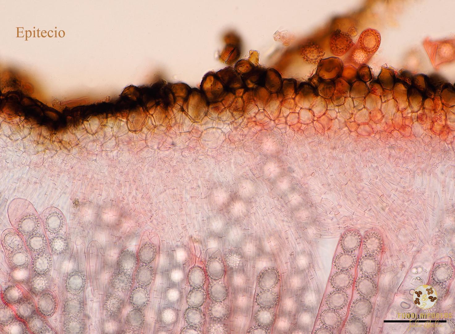 Imagen de portada 430