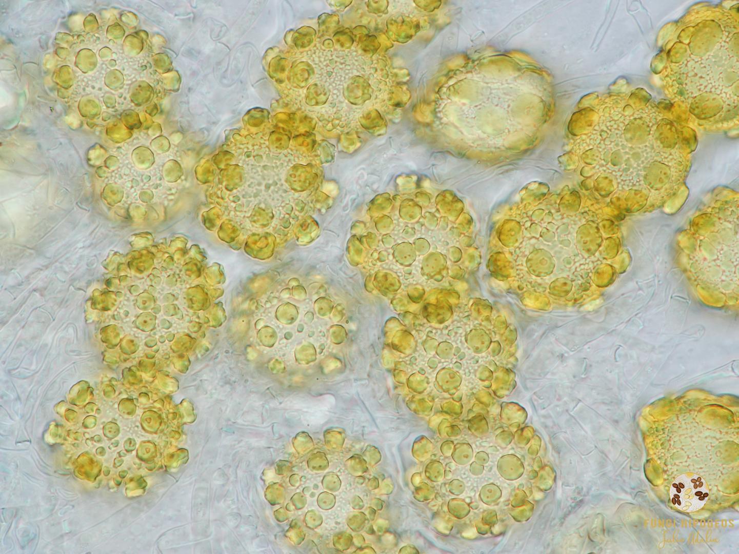 Imagen de portada 456