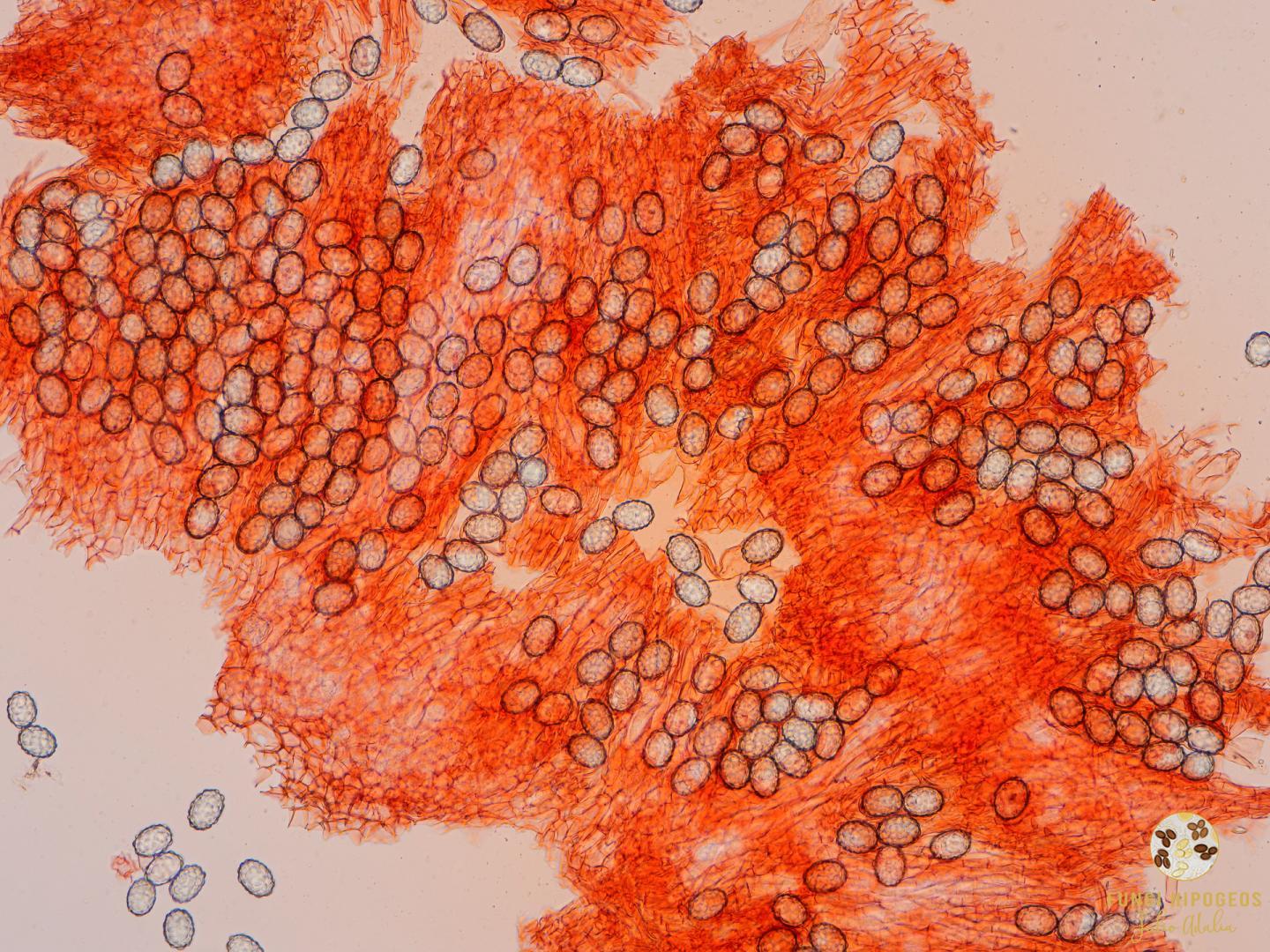 Imagen de portada 473