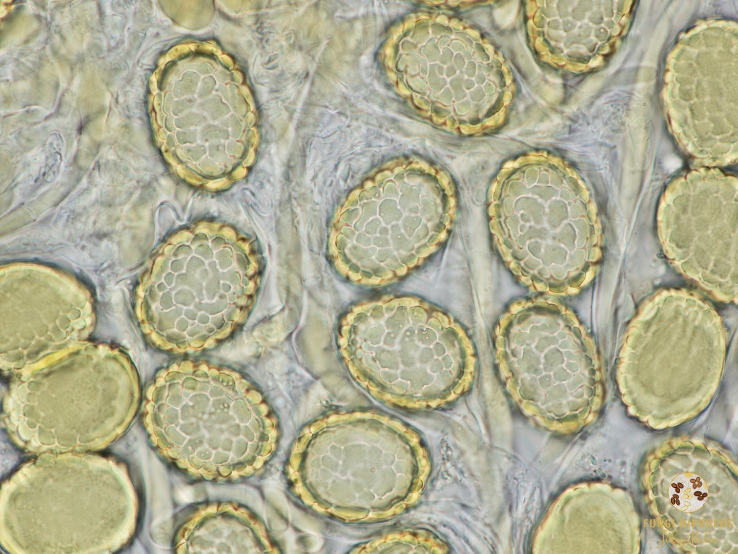 Imagen de portada 476