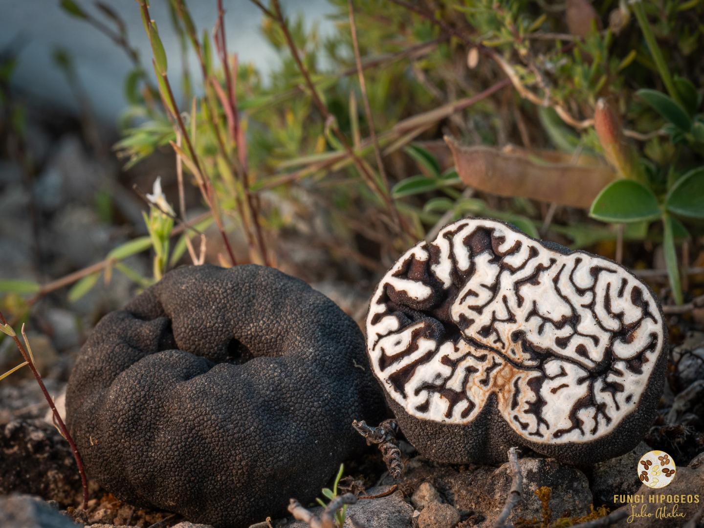 Imagen de portada 480