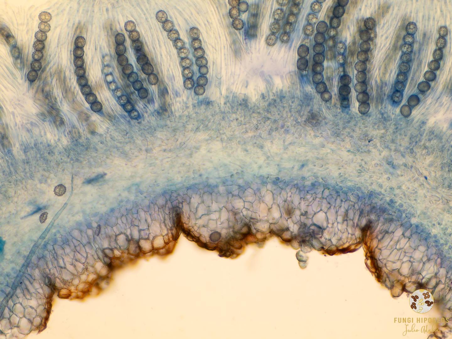 Imagen de portada 492