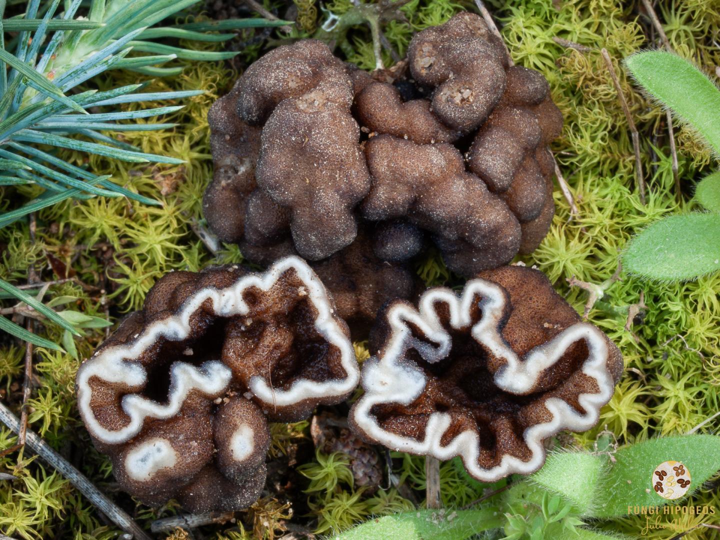 Imagen de portada 496