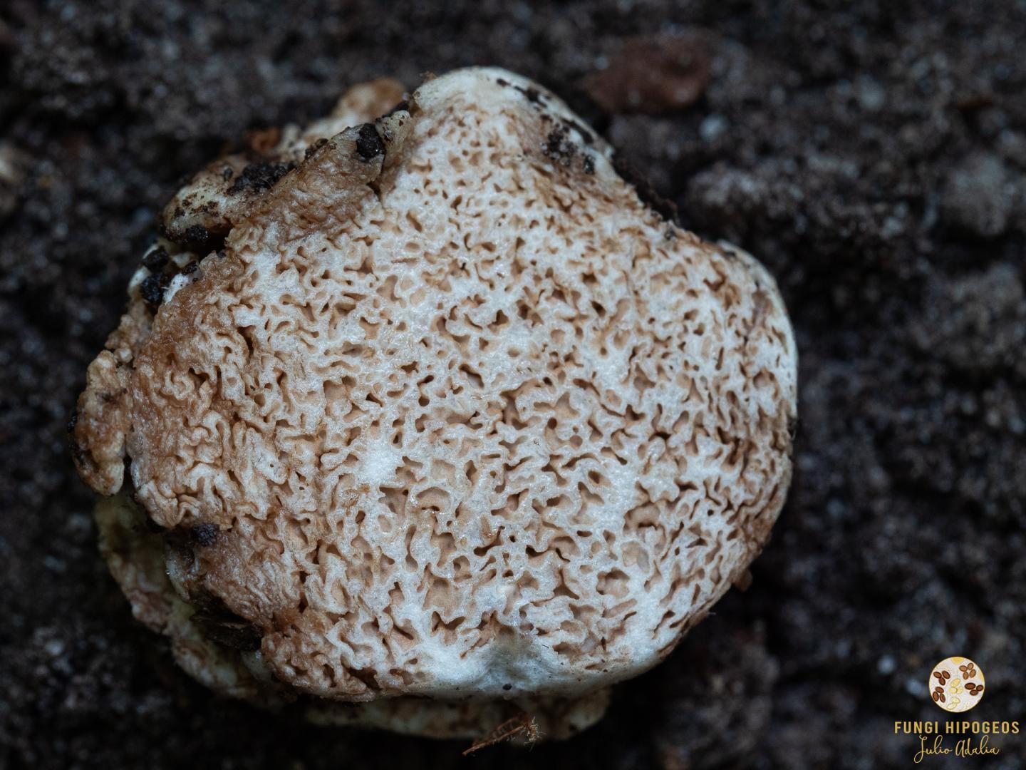 Imagen de portada 969