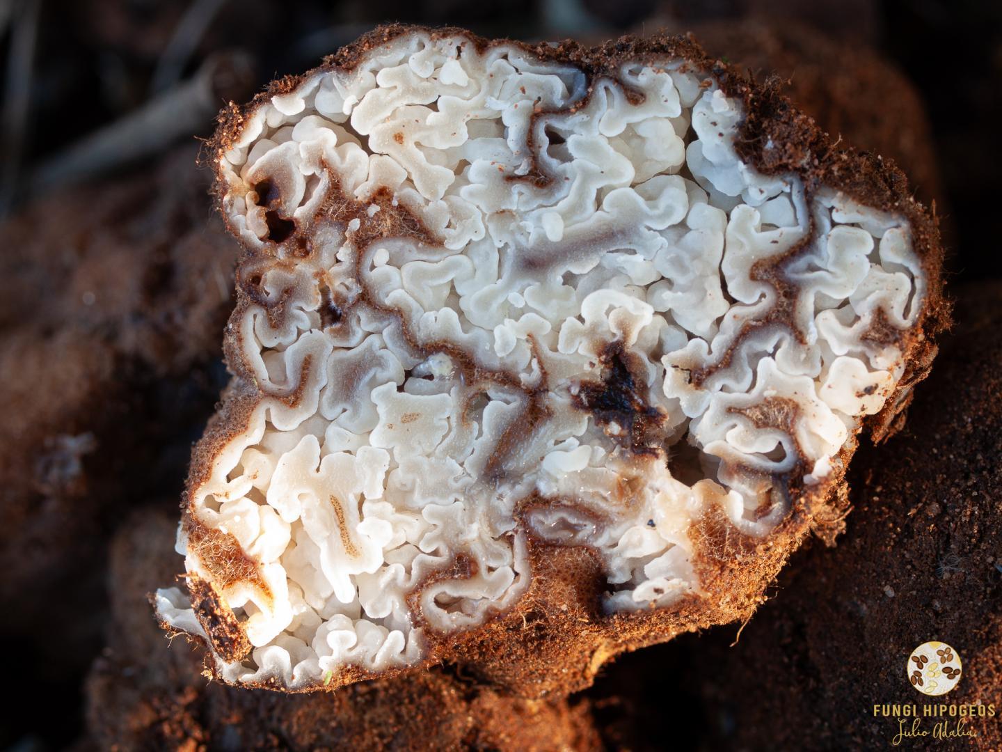 Imagen de portada 571