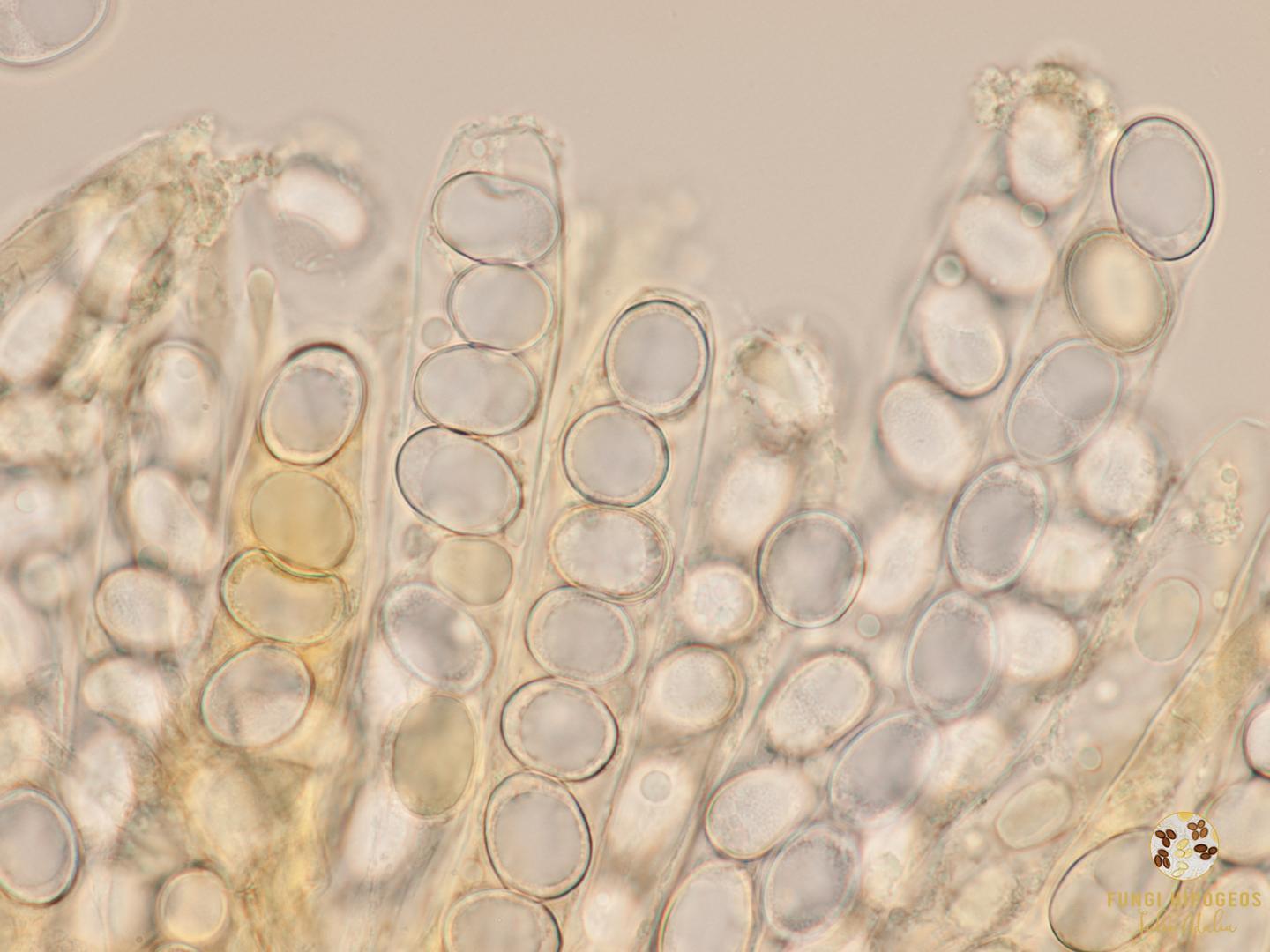 Imagen de portada 573