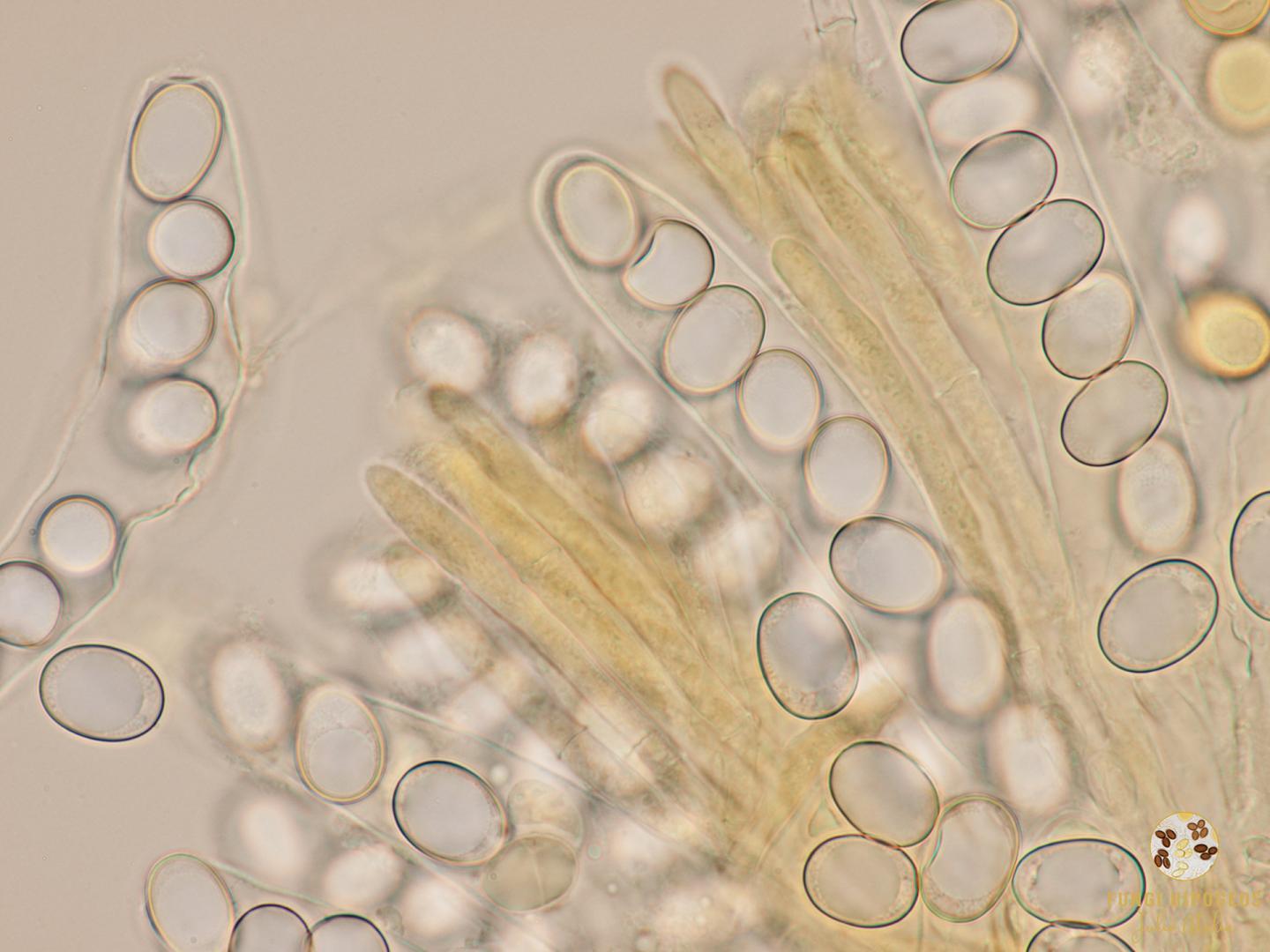 Imagen de portada 574