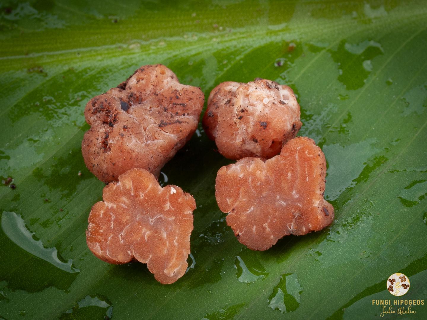 Imagen de portada 341