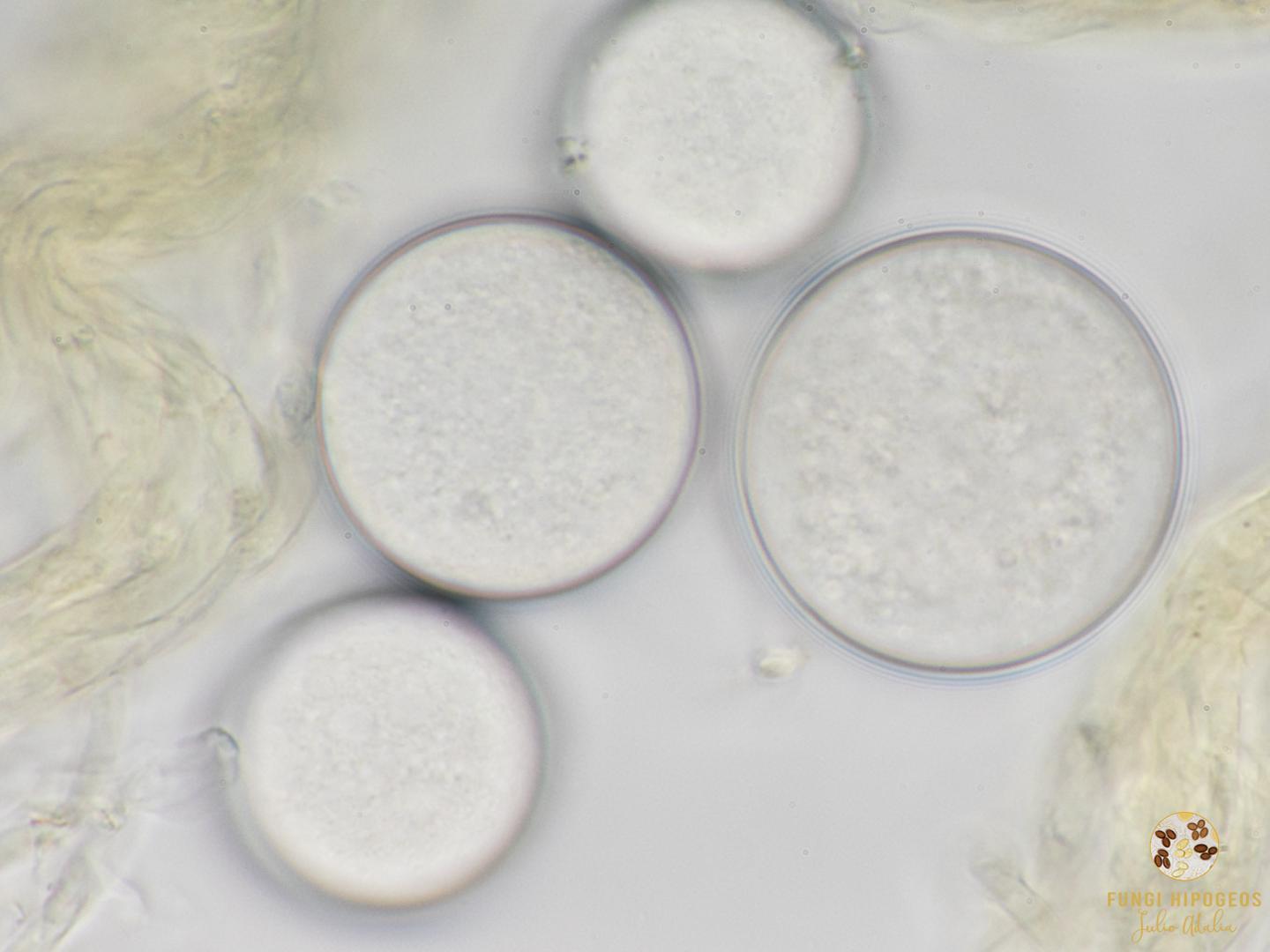 Imagen de portada 1500