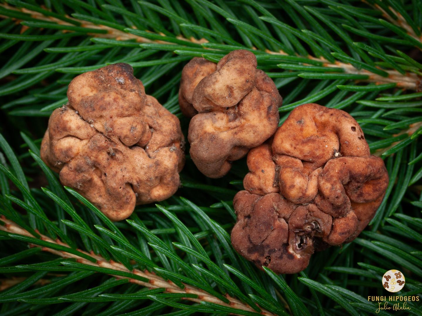 Imagen de portada 230