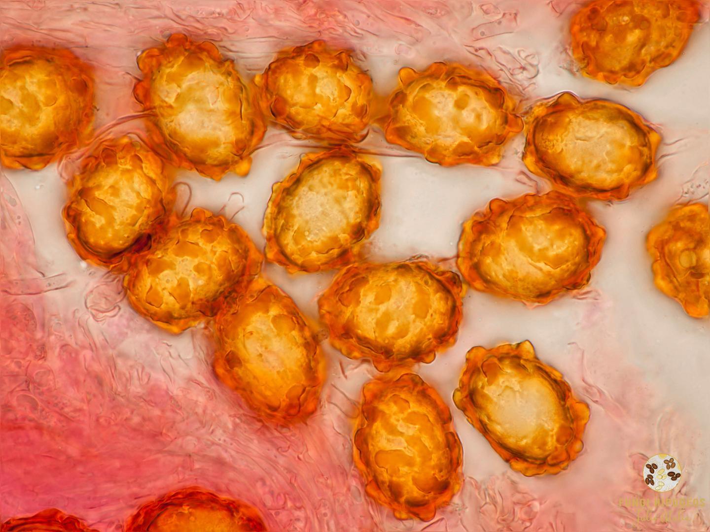 Imagen de portada 234