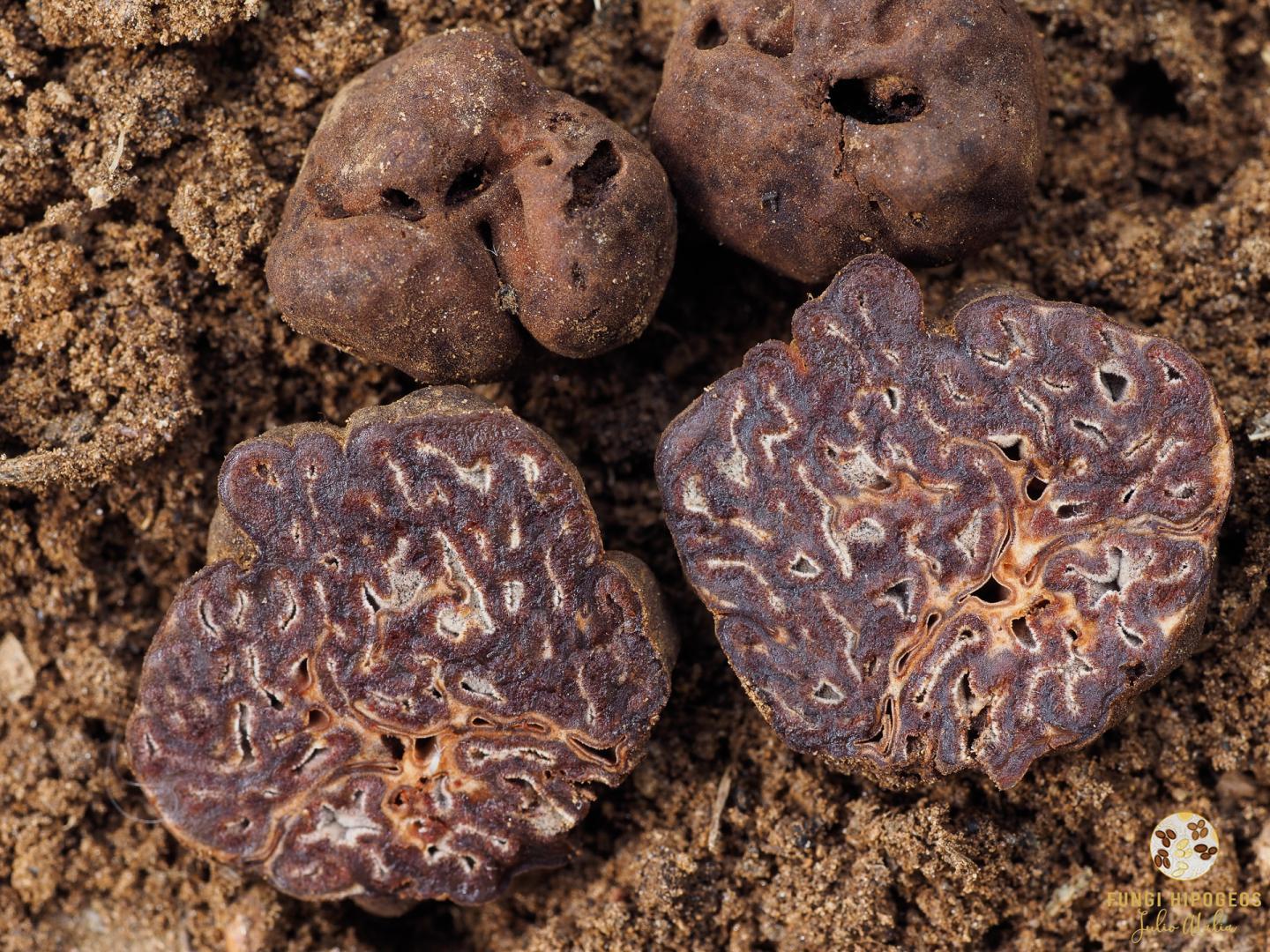 Imagen de portada 238