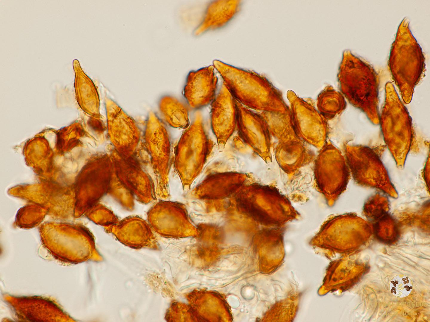 Imagen de portada 1180