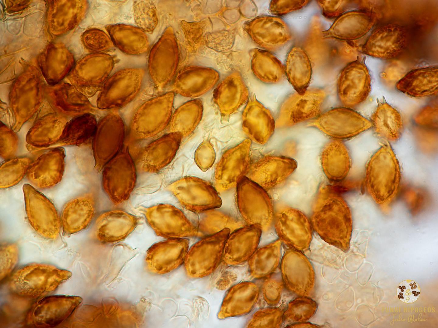 Imagen de portada 1191