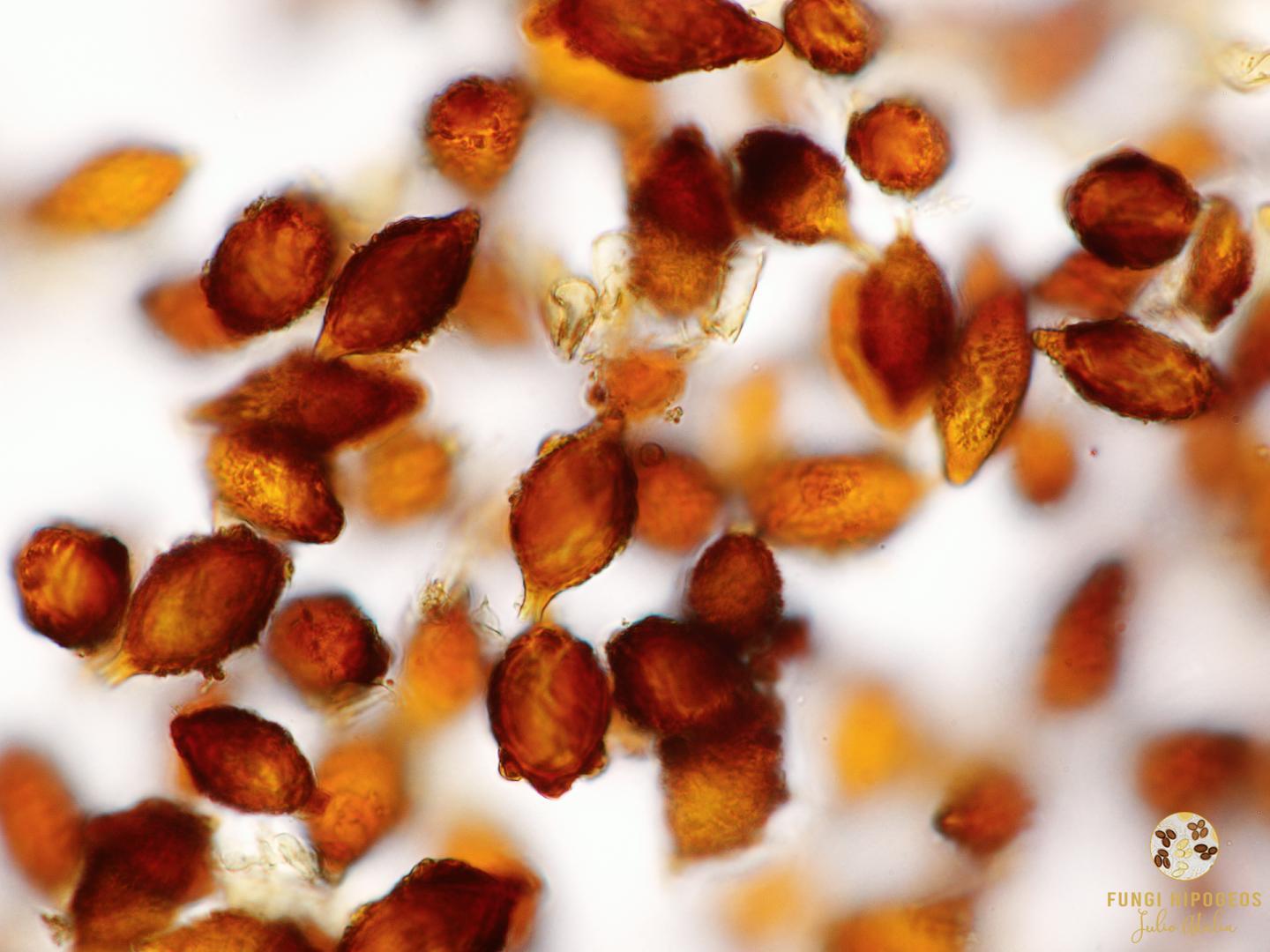 Imagen de portada 1192