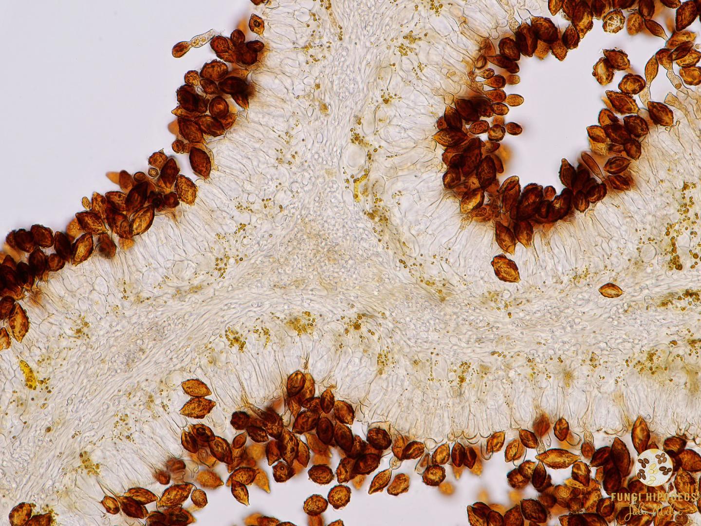 Imagen de portada 1194