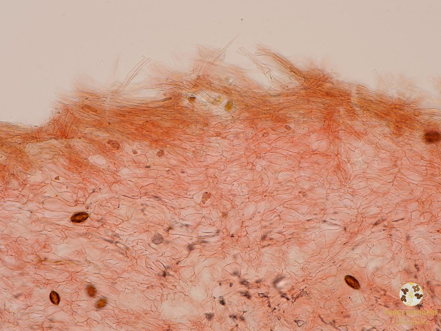 Imagen de portada 1206