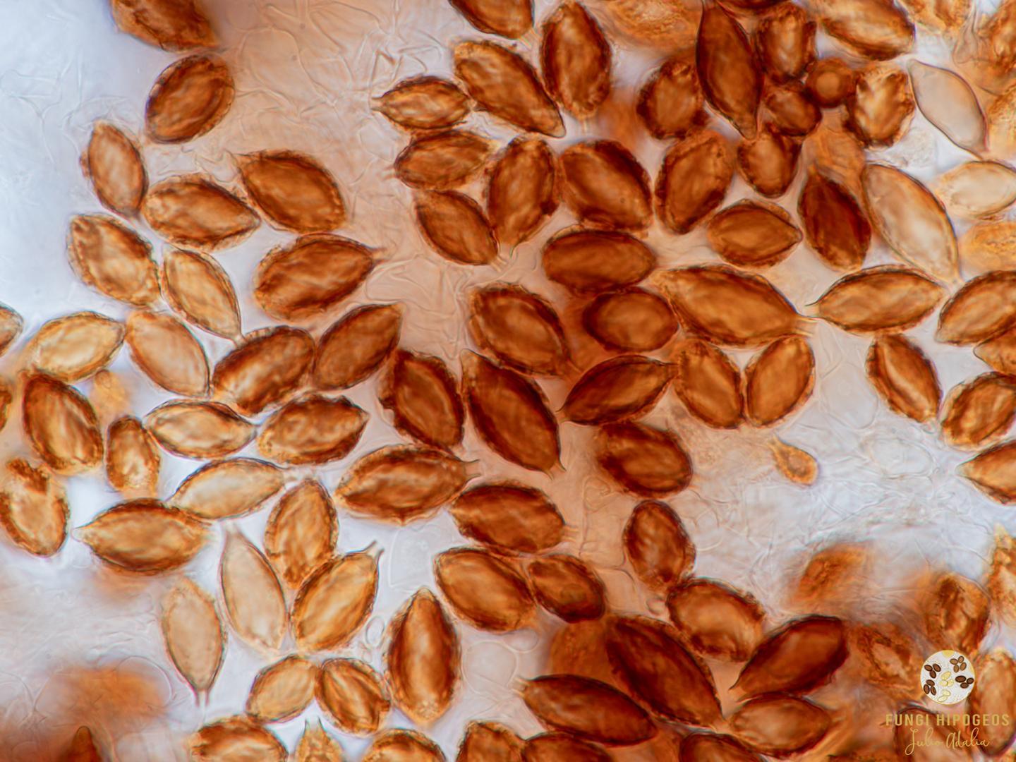 Imagen de portada 1207