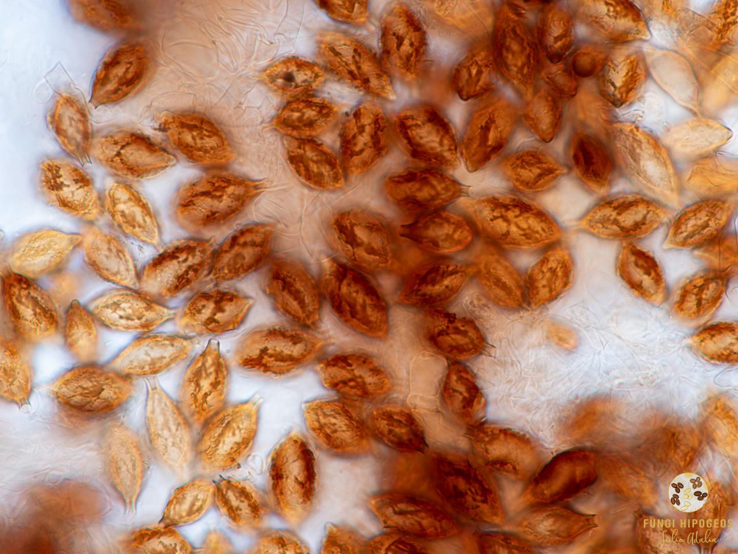 Imagen de portada 1208