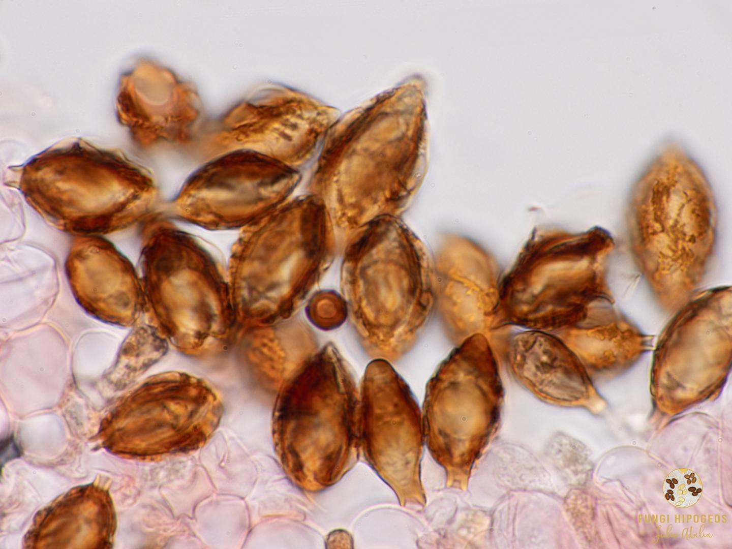 Imagen de portada 1209