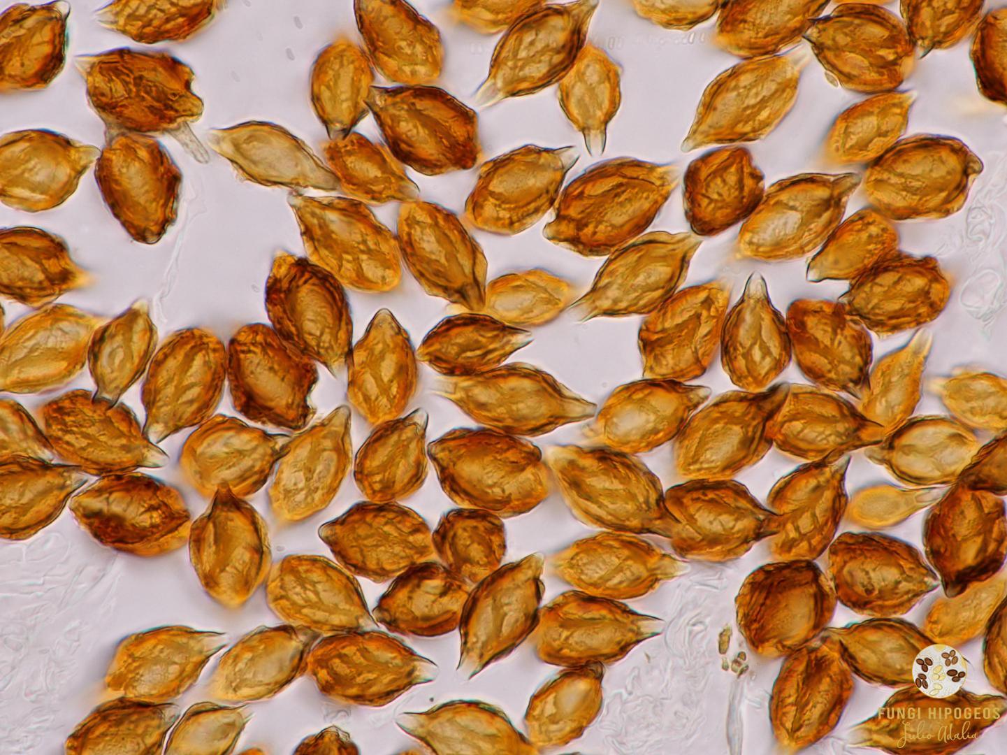 Imagen de portada 1201