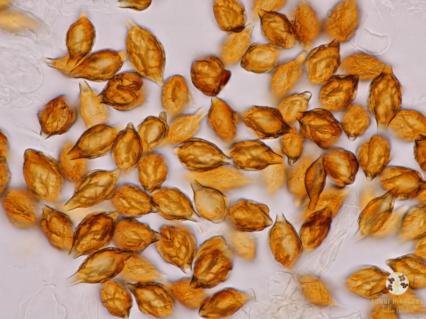 Imagen de portada 1202