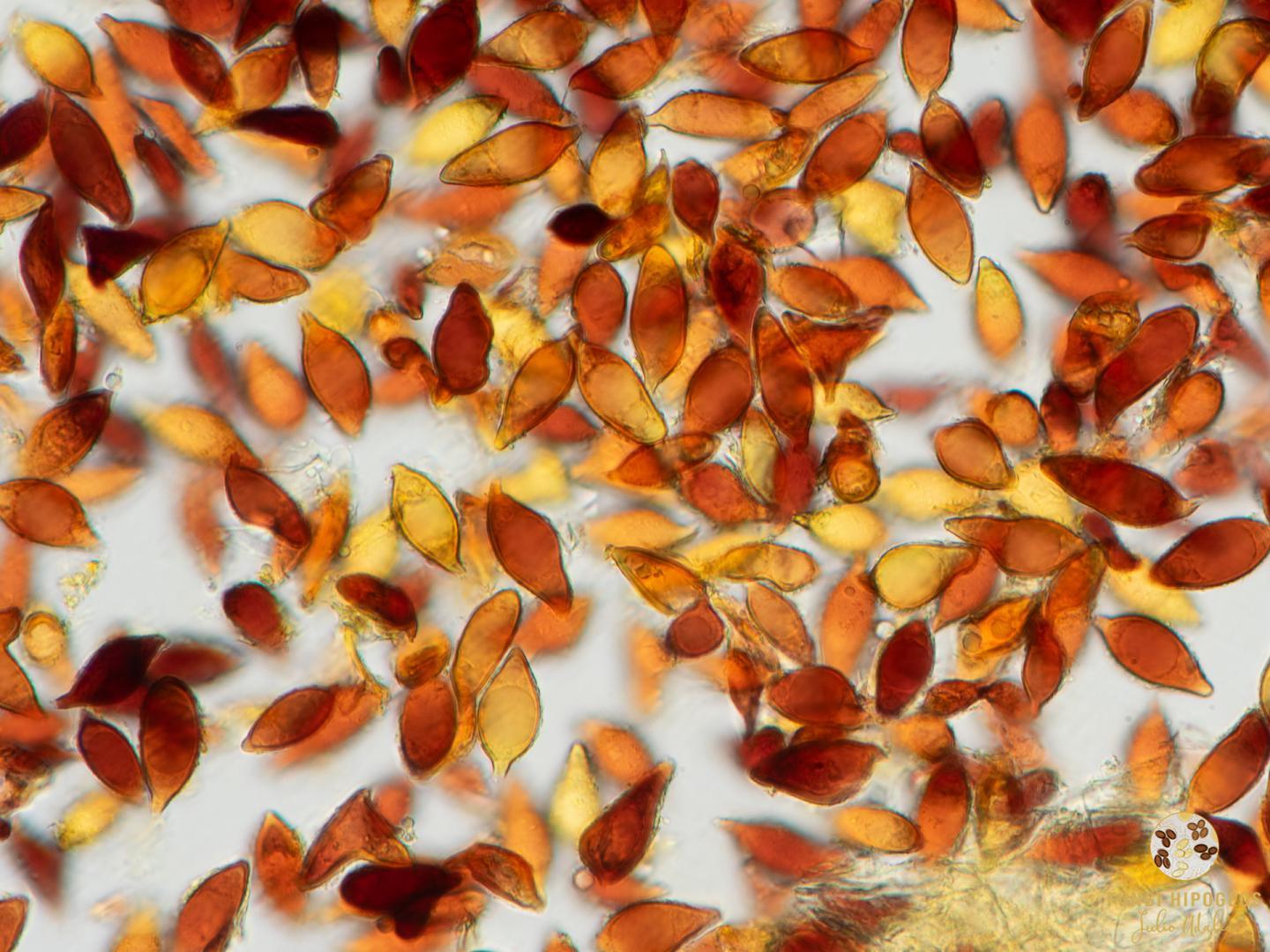 Imagen de portada 1224