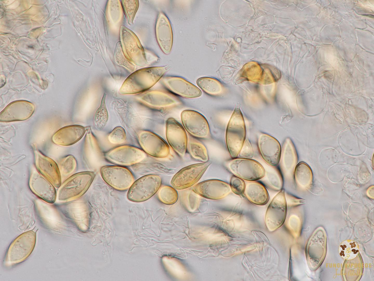 Imagen de portada 1225