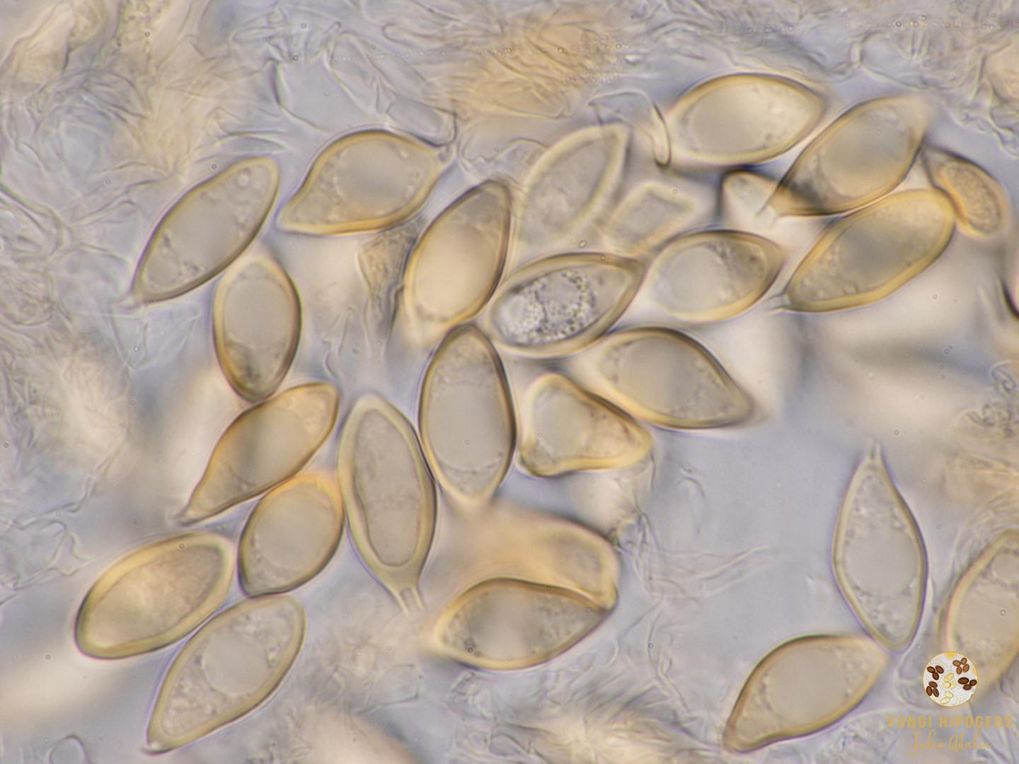 Imagen de portada 1226