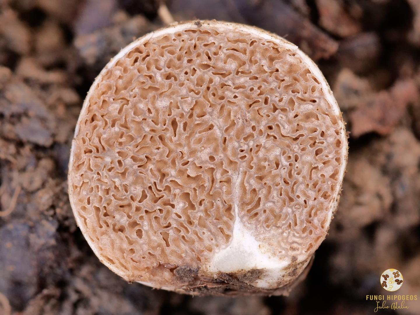 Imagen de portada 1214