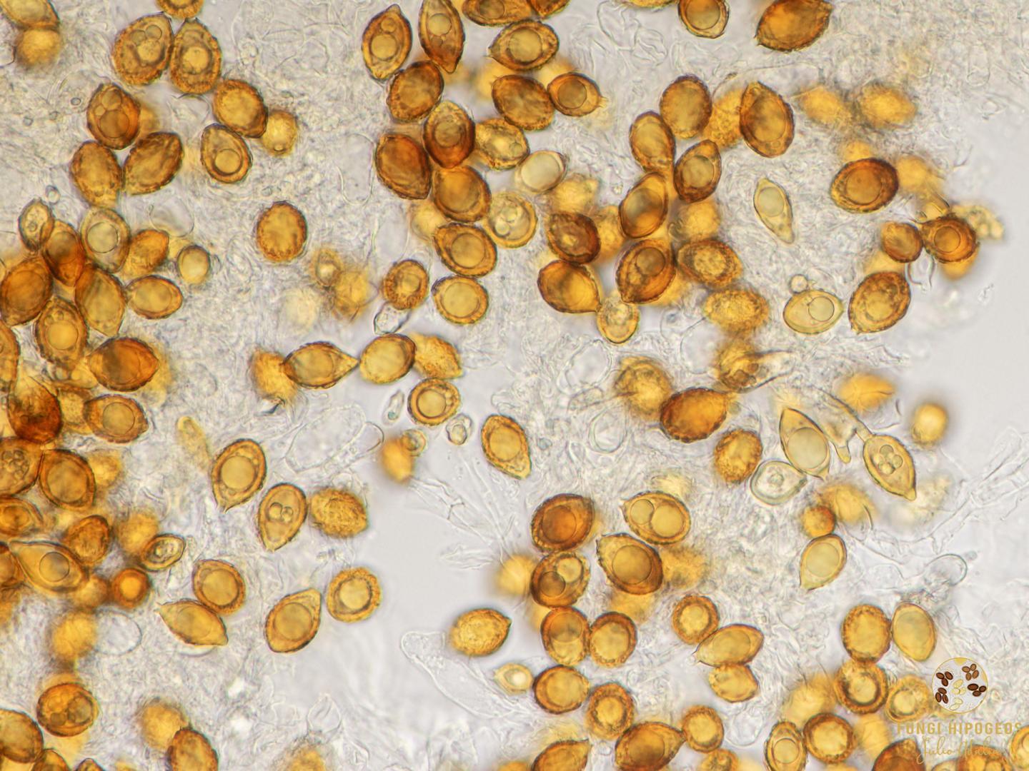 Imagen de portada 1248