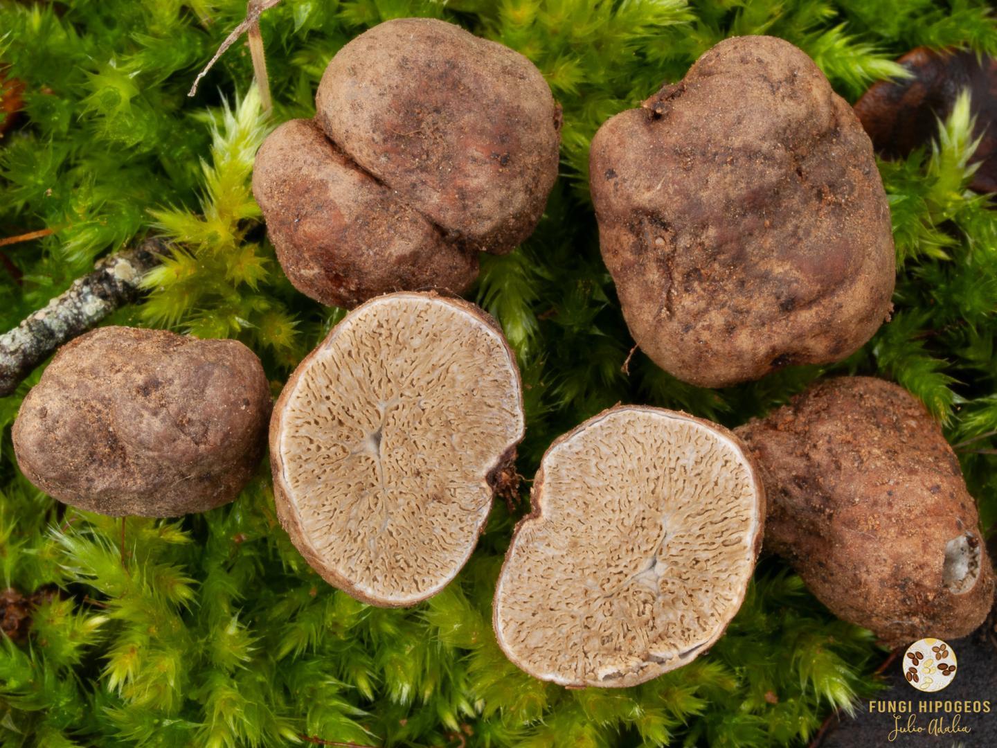 Imagen de portada 1378