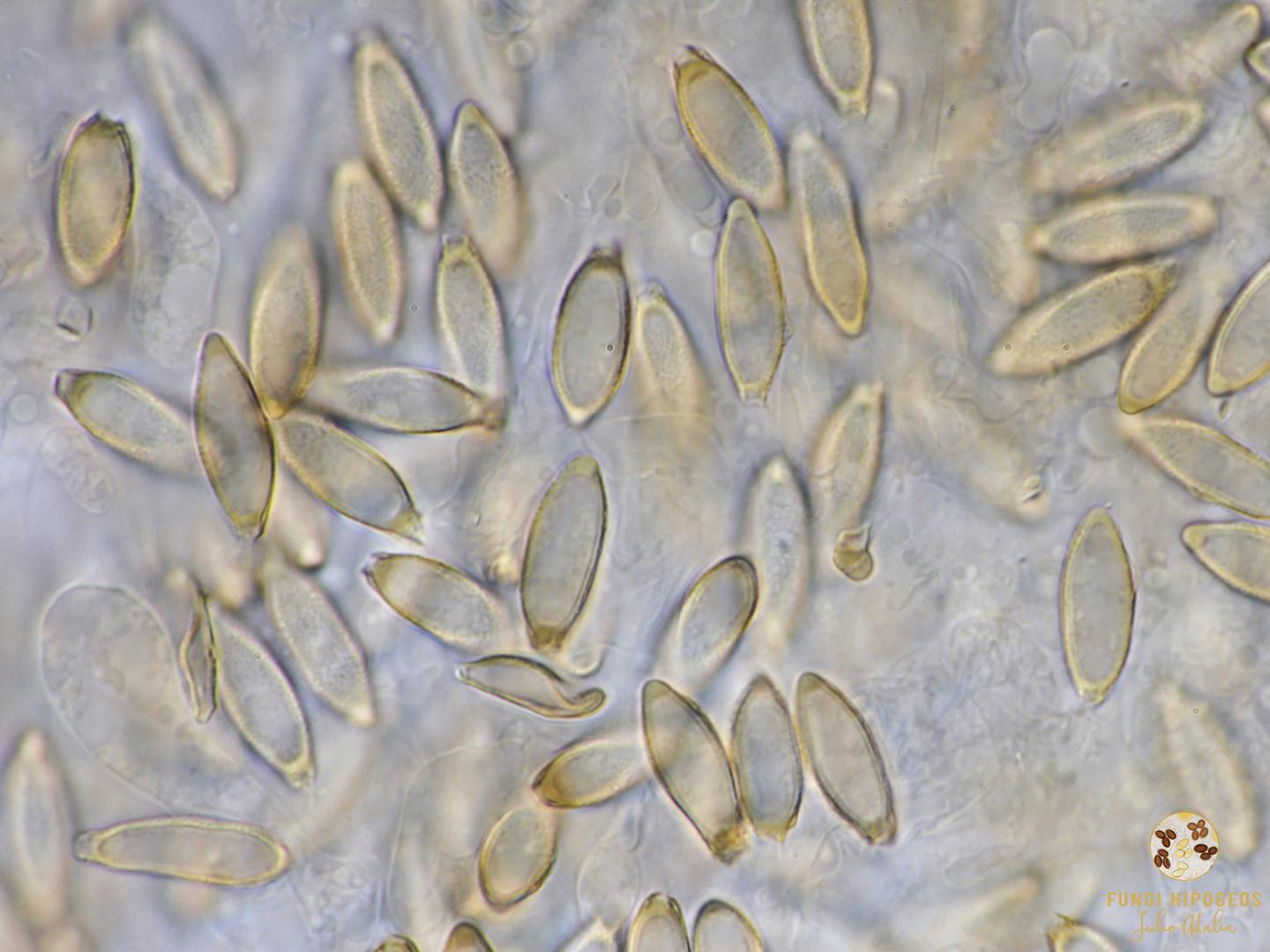 Imagen de portada 1379