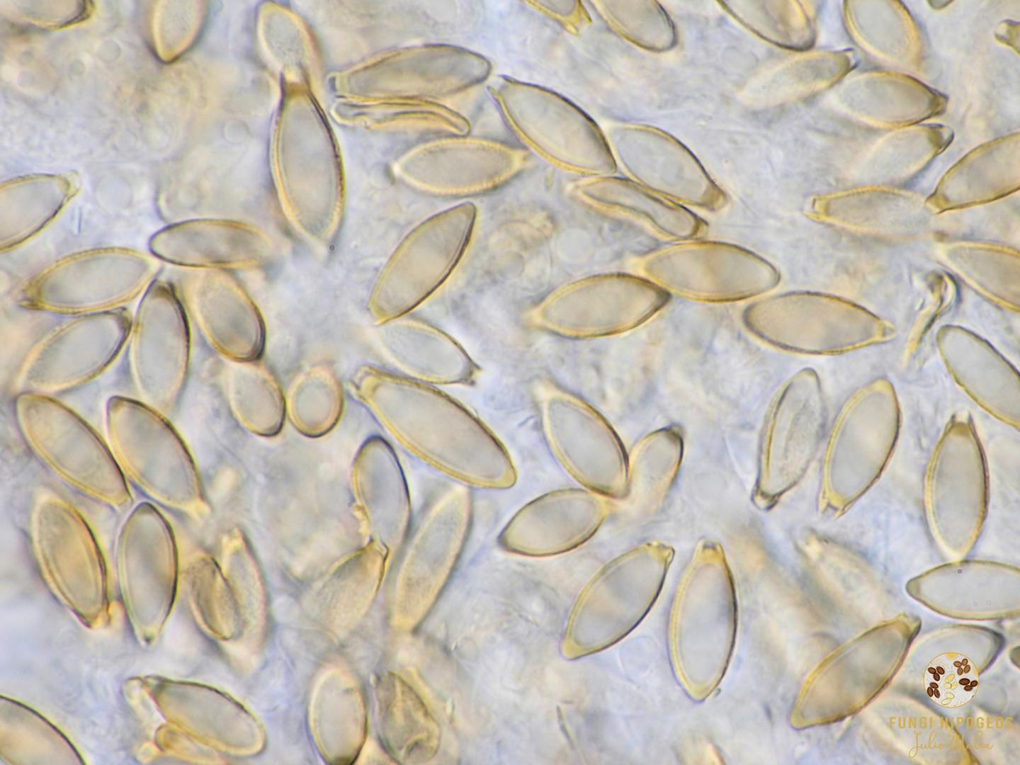 Imagen de portada 1380