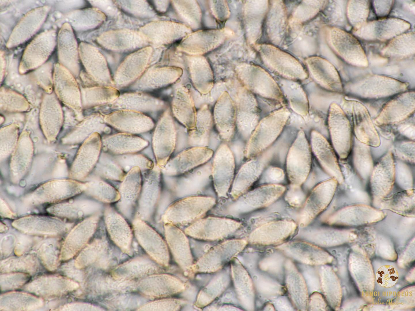 Imagen de portada 1374