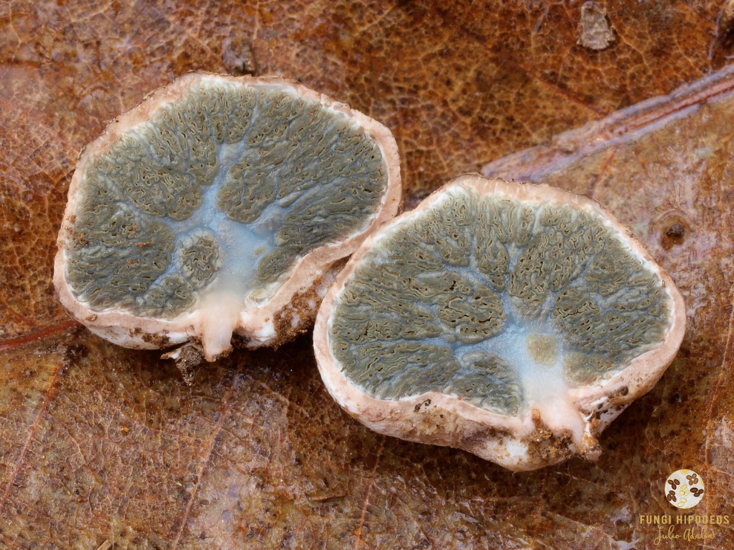 Imagen de portada 1394