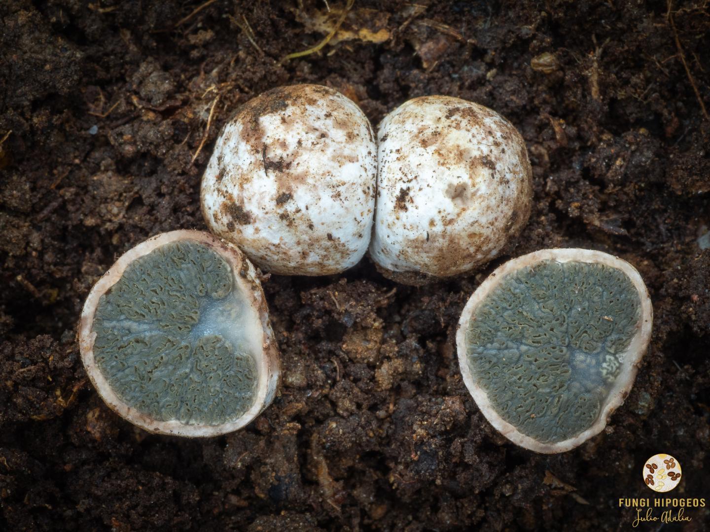 Imagen de portada 1395