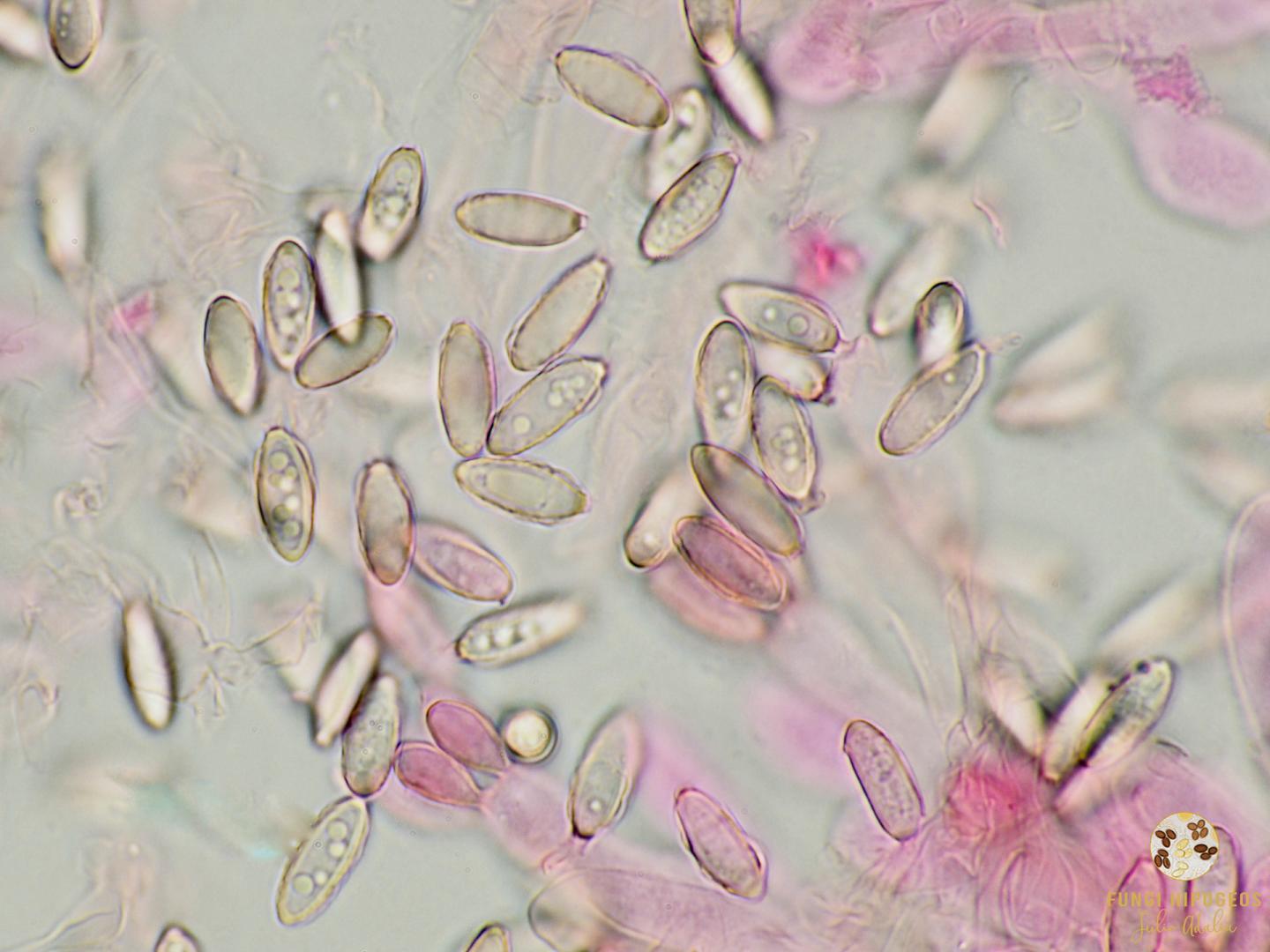 Imagen de portada 1397