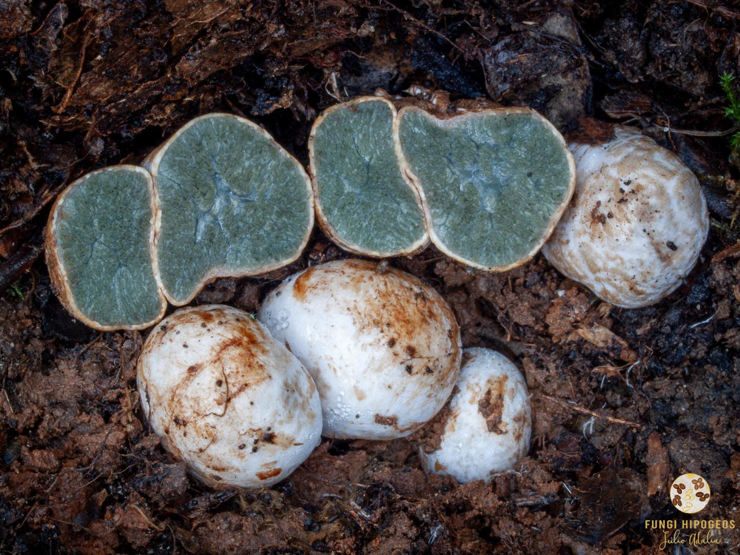 Imagen de portada 1412