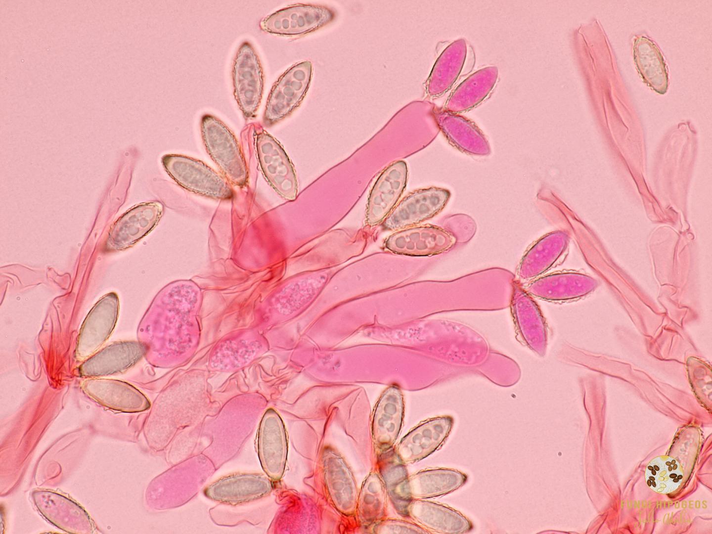 Imagen de portada 1415