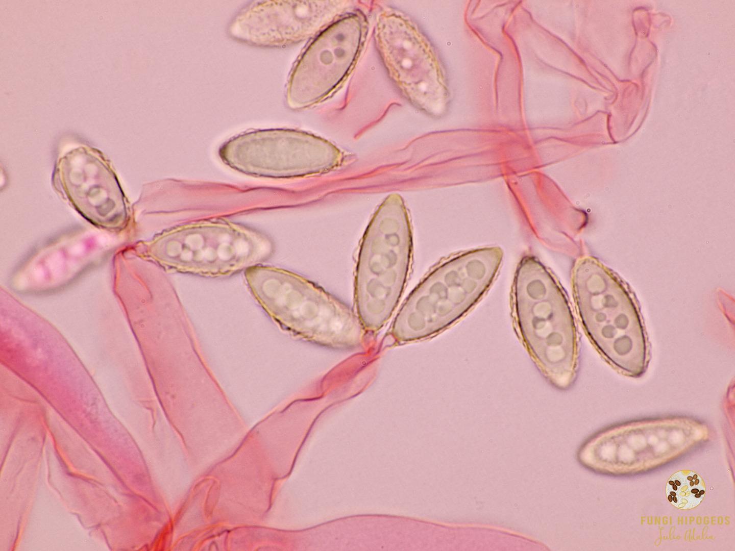 Imagen de portada 1416