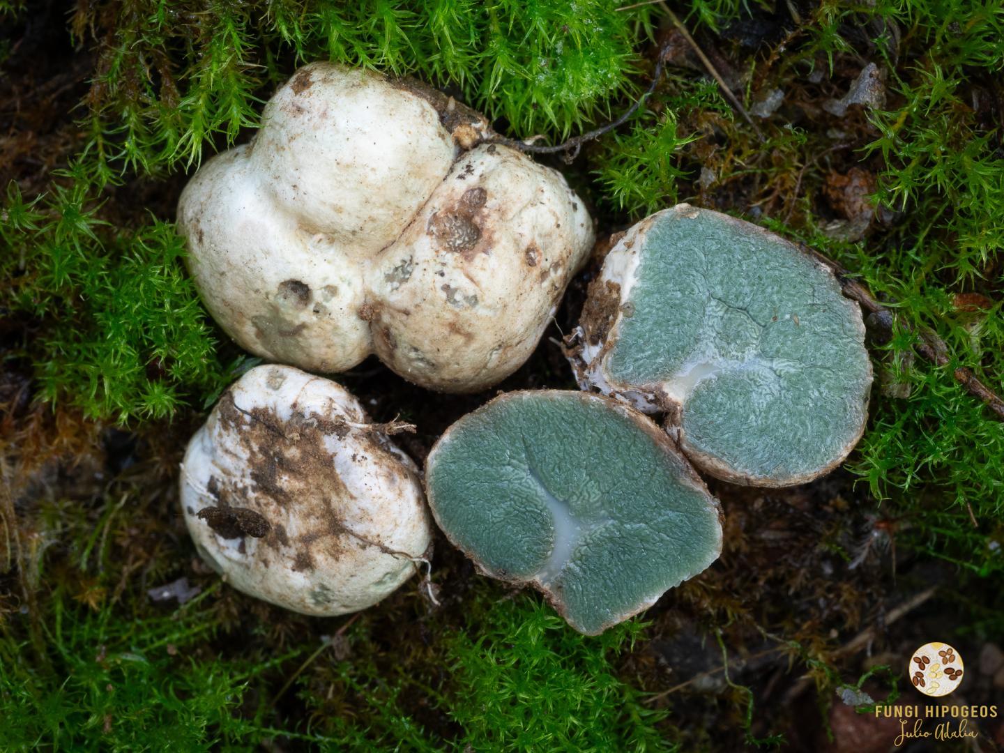 Imagen de portada 1403