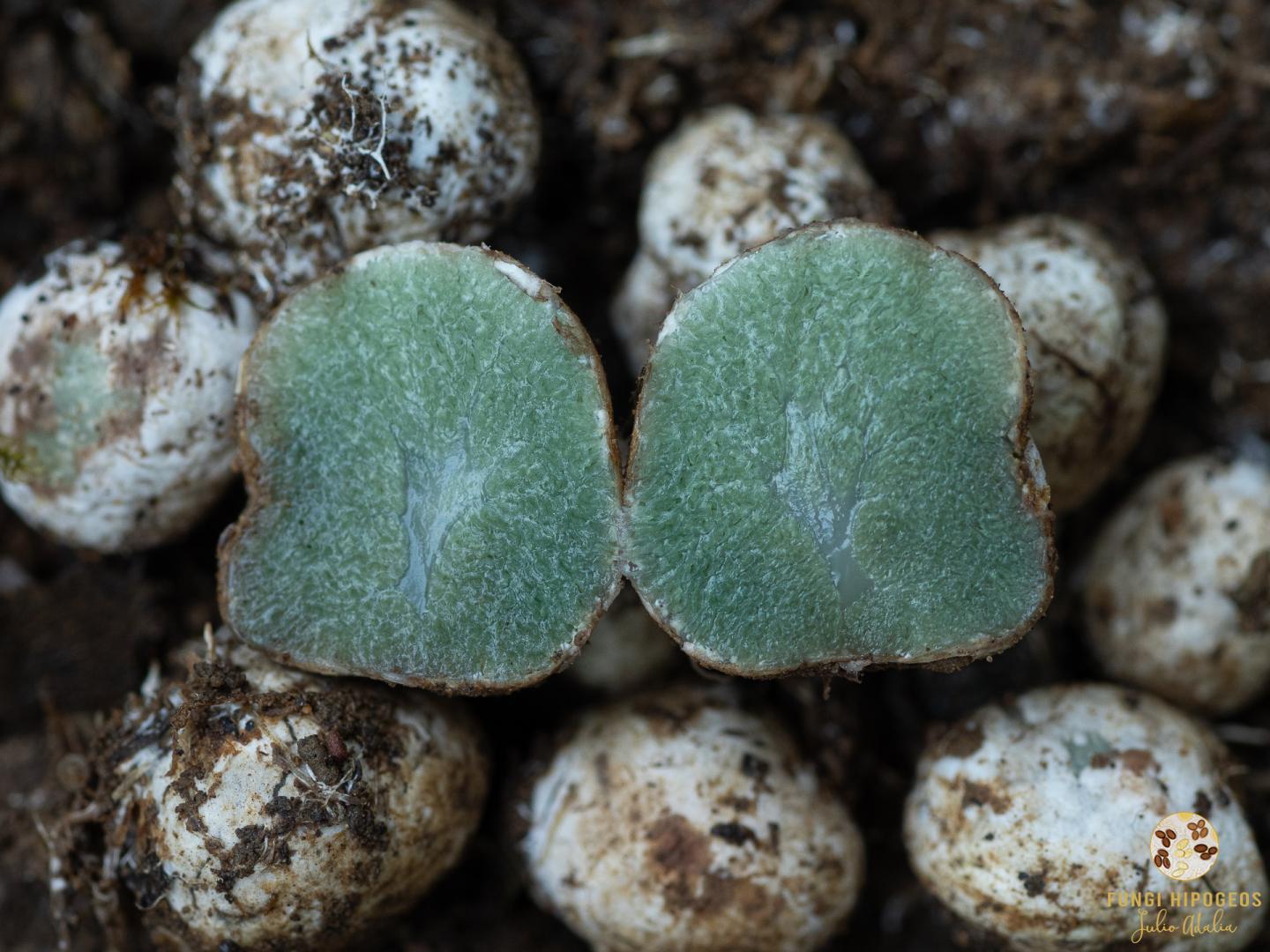 Imagen de portada 1404