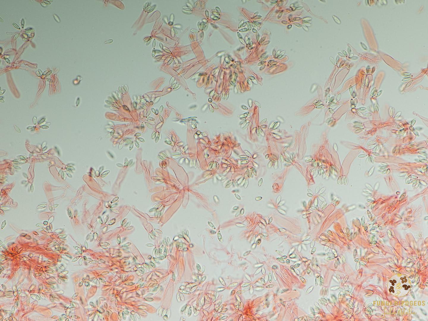 Imagen de portada 1407