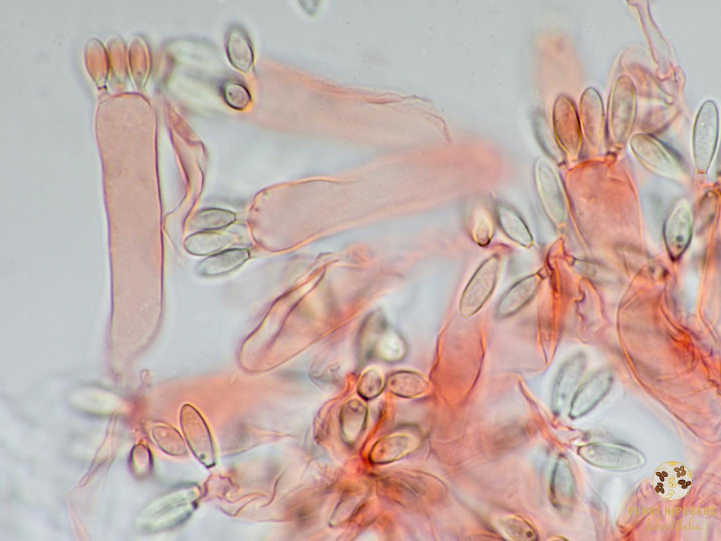 Imagen de portada 1409